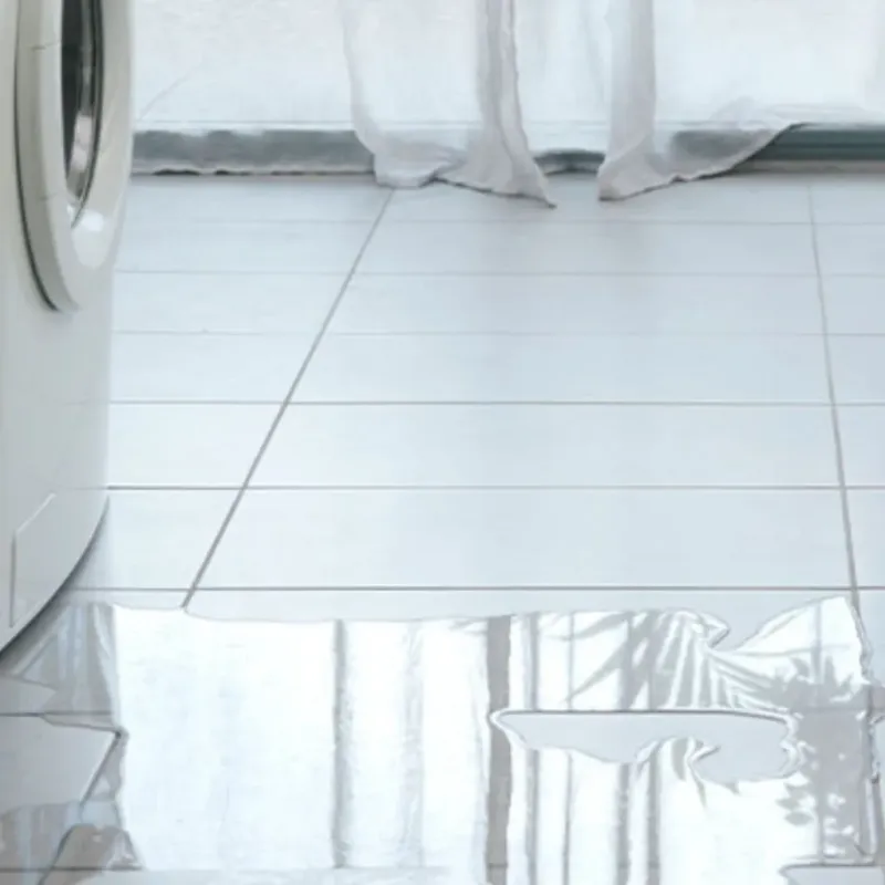 Appliance Leak Cleanup in Sultan, WA